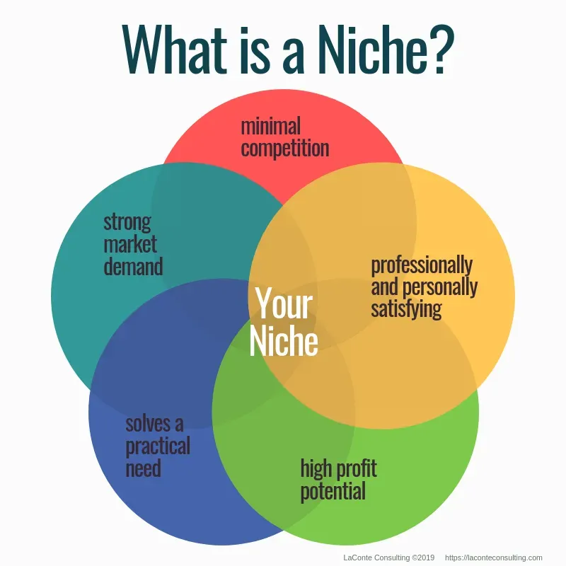 Visual representation of the 5 elements of a niche, including target audience, market needs, competition, unique value proposition, and marketing strategies, designed to help businesses identify and define their niche market