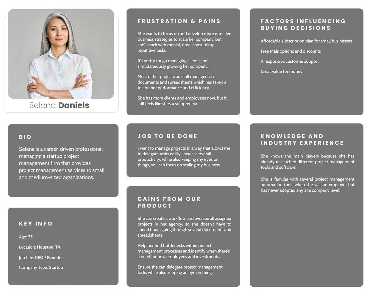 Visual representation of a buyer persona, detailing demographics, preferences, and behaviors of a target audience segment