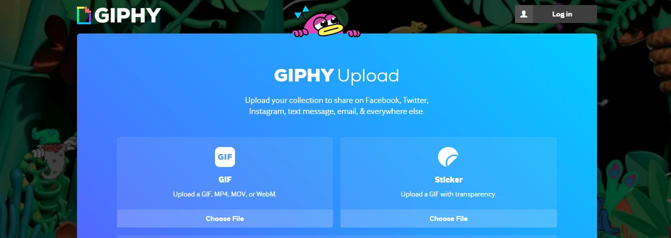 go to giphy website