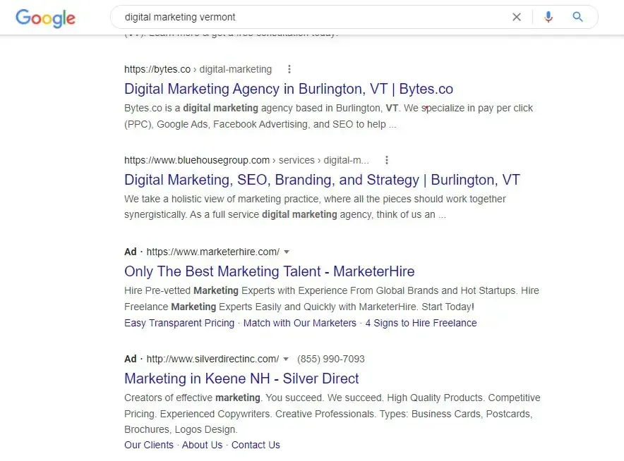 Google Search results displaying native advertisements seamlessly integrated with organic search results, promoting relevant products and services.