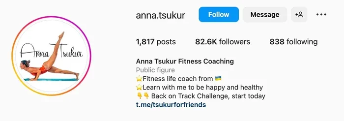 anna tsukur instagram bio