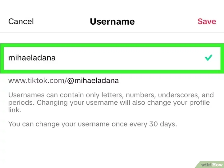 save changes tiktok username