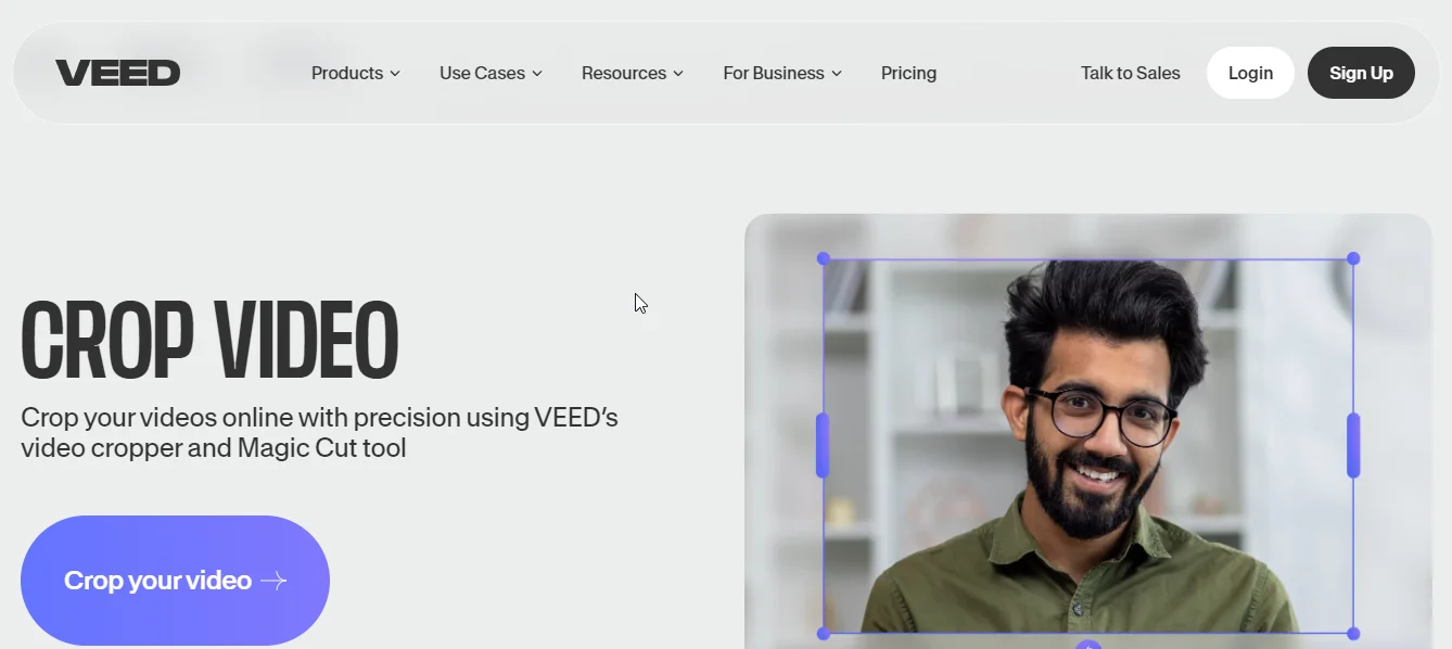 veed.io crop video tool